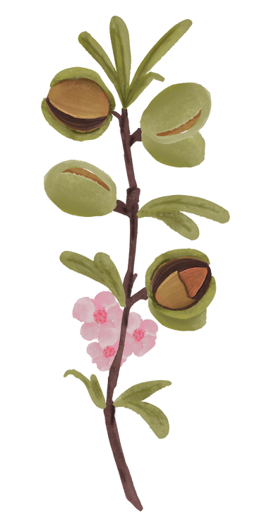 Benefits Overlay Image