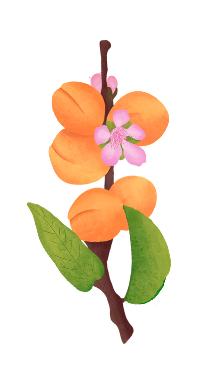 Benefits Overlay Image