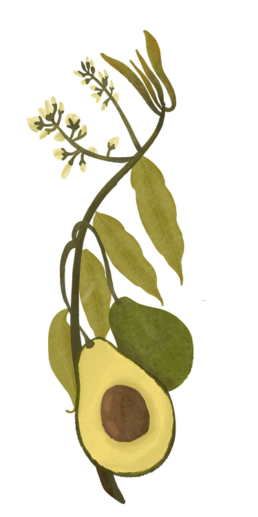 Benefits Overlay Image