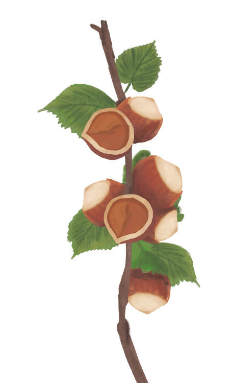 Benefits Overlay Image