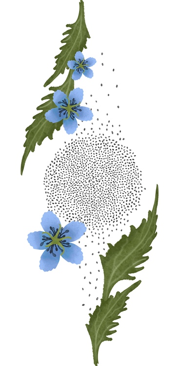 Benefits Overlay Image