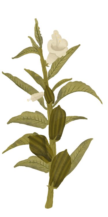 Benefits Overlay Image