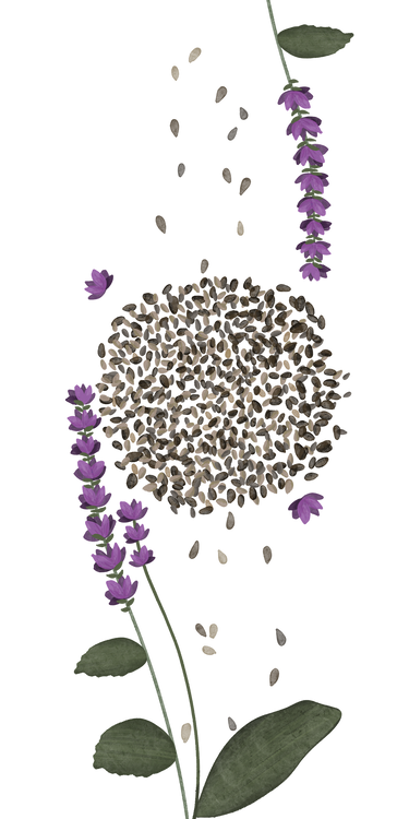 Benefits Overlay Image