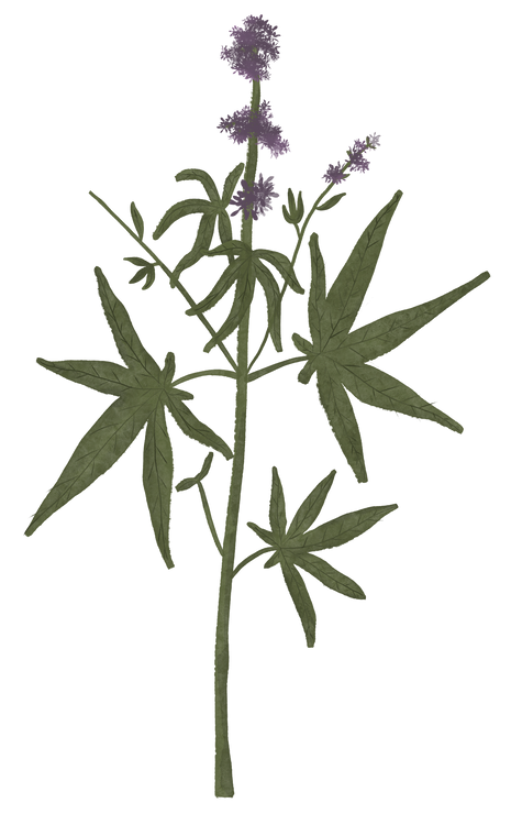 Benefits Overlay Image