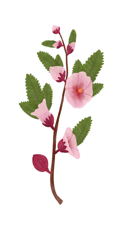 Benefits Overlay Image