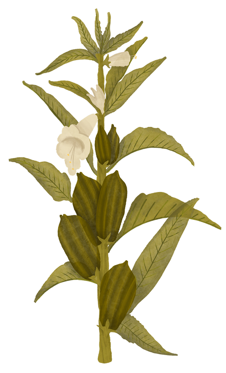 Benefits Overlay Image
