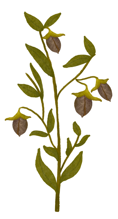 Benefits Overlay Image