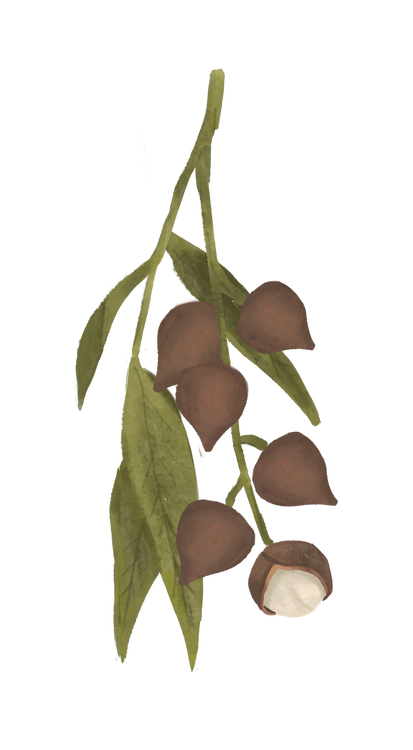 Benefits Overlay Image