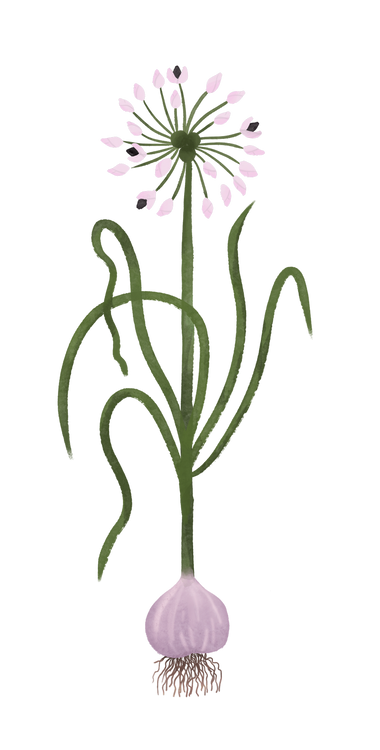 Benefits Overlay Image