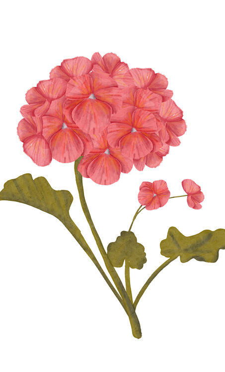 Benefits Overlay Image