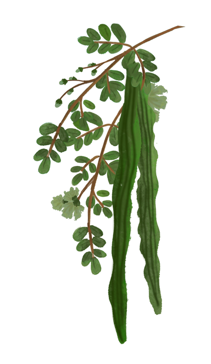 Benefits Overlay Image