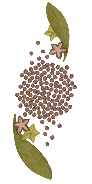 Benefits Overlay Image