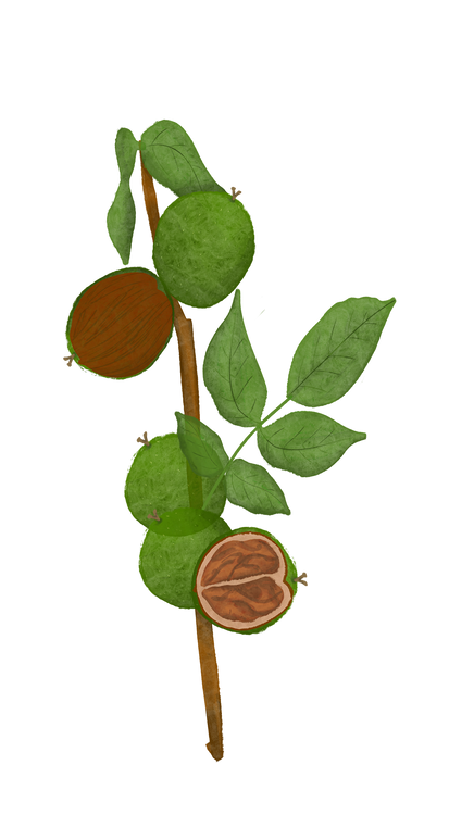 Benefits Overlay Image