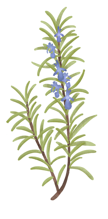 Benefits Overlay Image