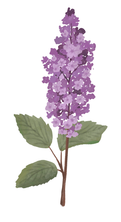 Benefits Overlay Image