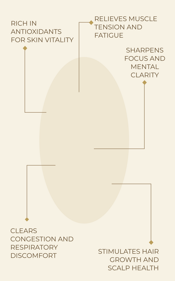 Benefits Main Image Mobile